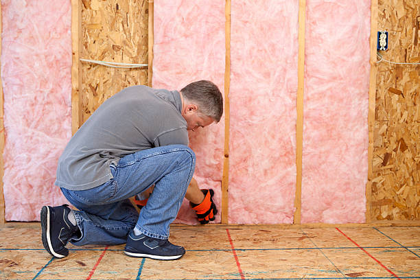 Best Insulation Maintenance and Repair in Dora, AL